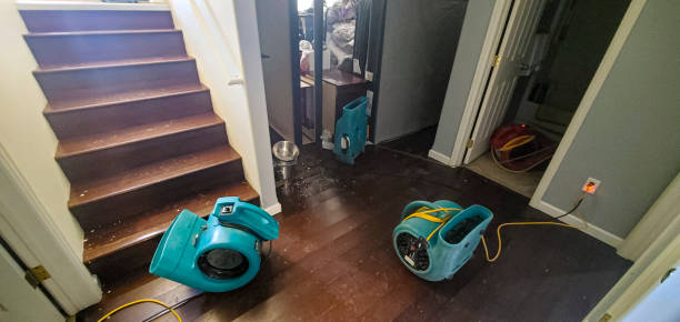 Best Commercial water damage restoration  in Maplewood, WA