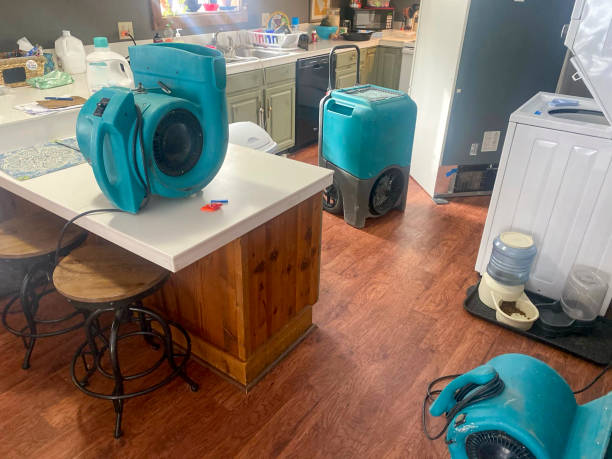 Best Water damage restoration experts  in Maplewood, WA