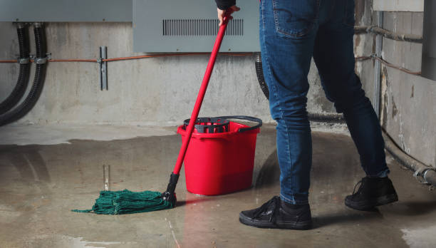 Best Ceiling water damage repair  in Maplewood, WA