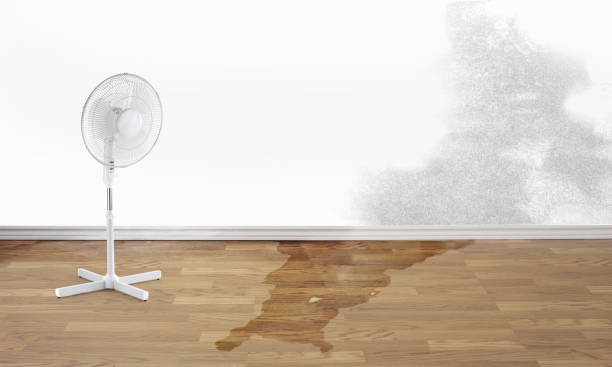 Water damage restoration experts in Maplewood, WA